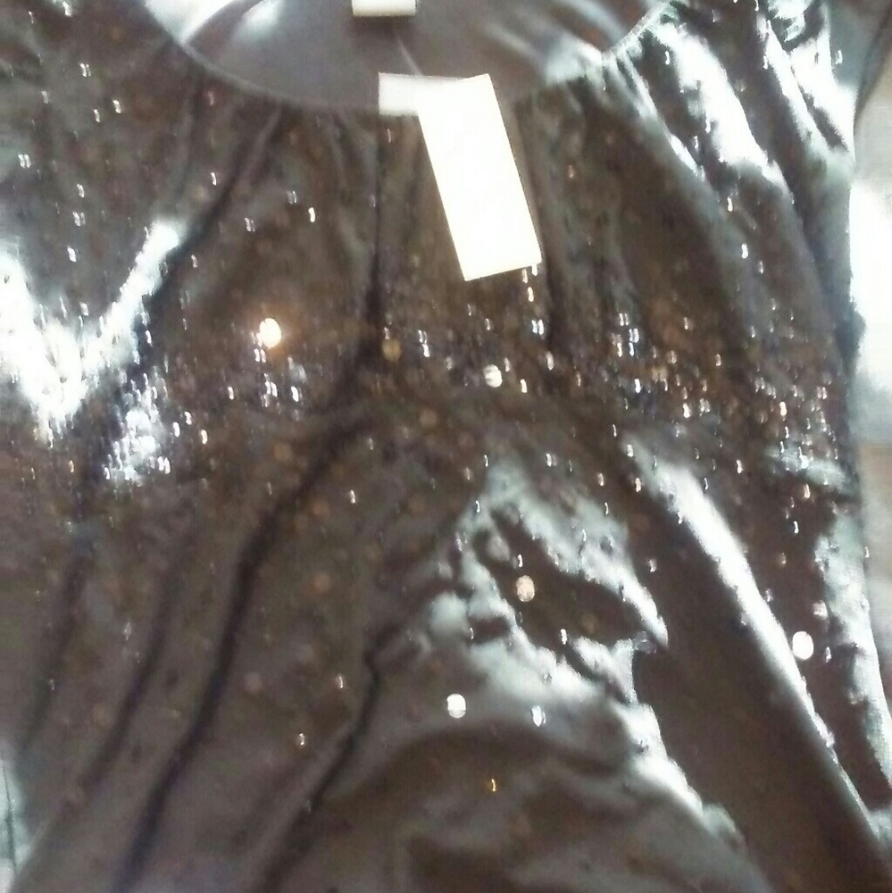 Woman's Size Medium Ann Taylor Sequin Blouse